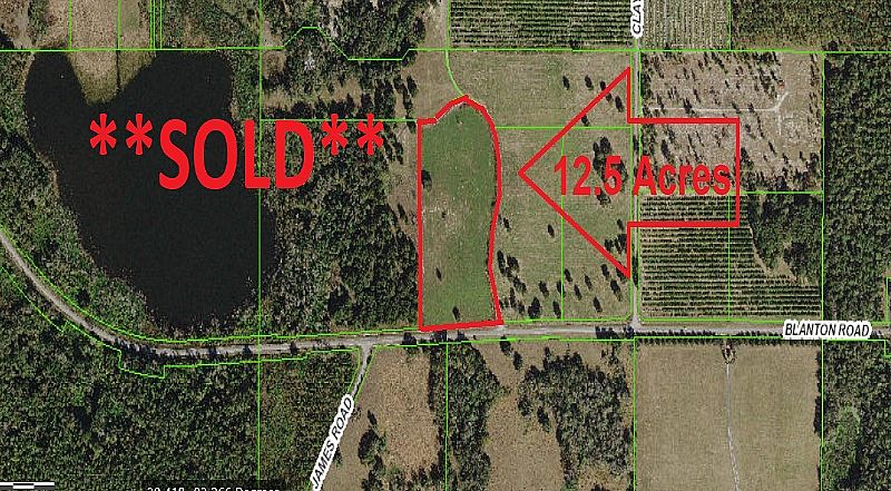 12.5 Acres on Desirable Blanton Road, Currently in Peanut Hay Production, Dade City, Pasco County, Fl SOLD